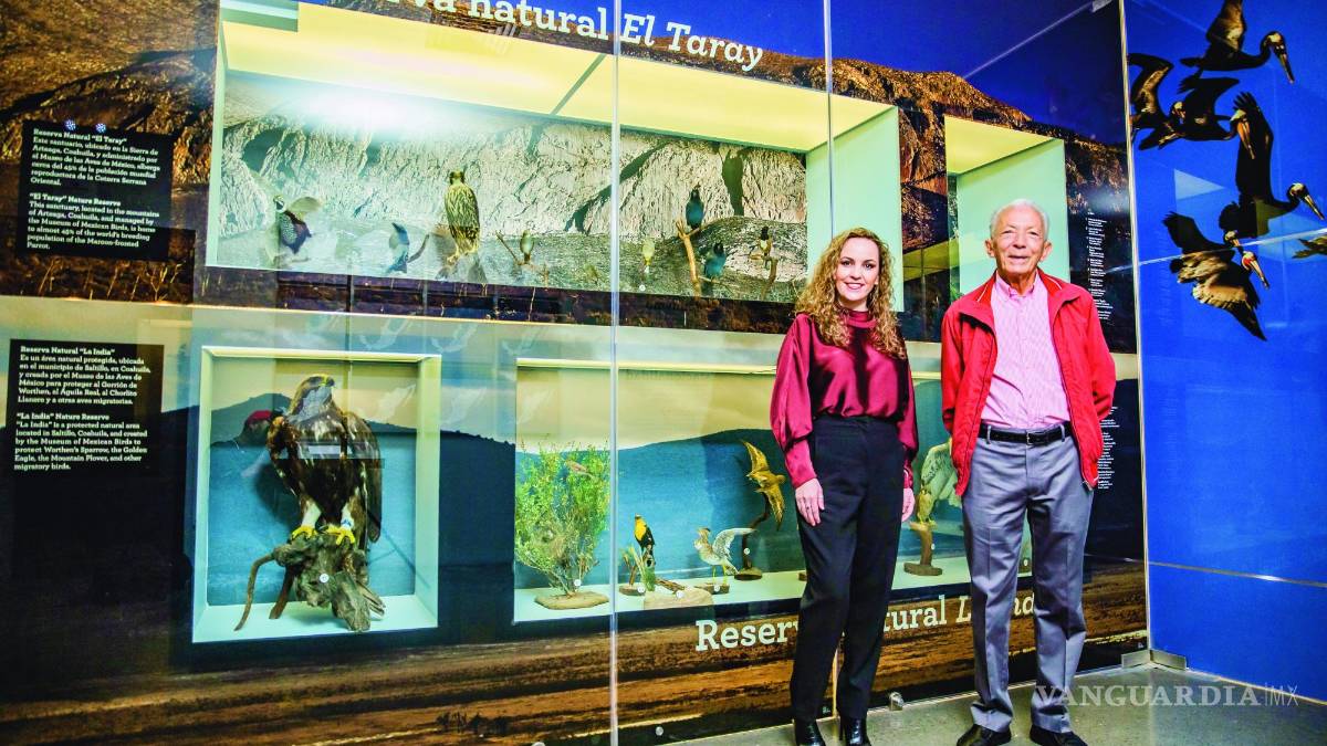 Museo de las Aves: Conocer para valorar y conservar