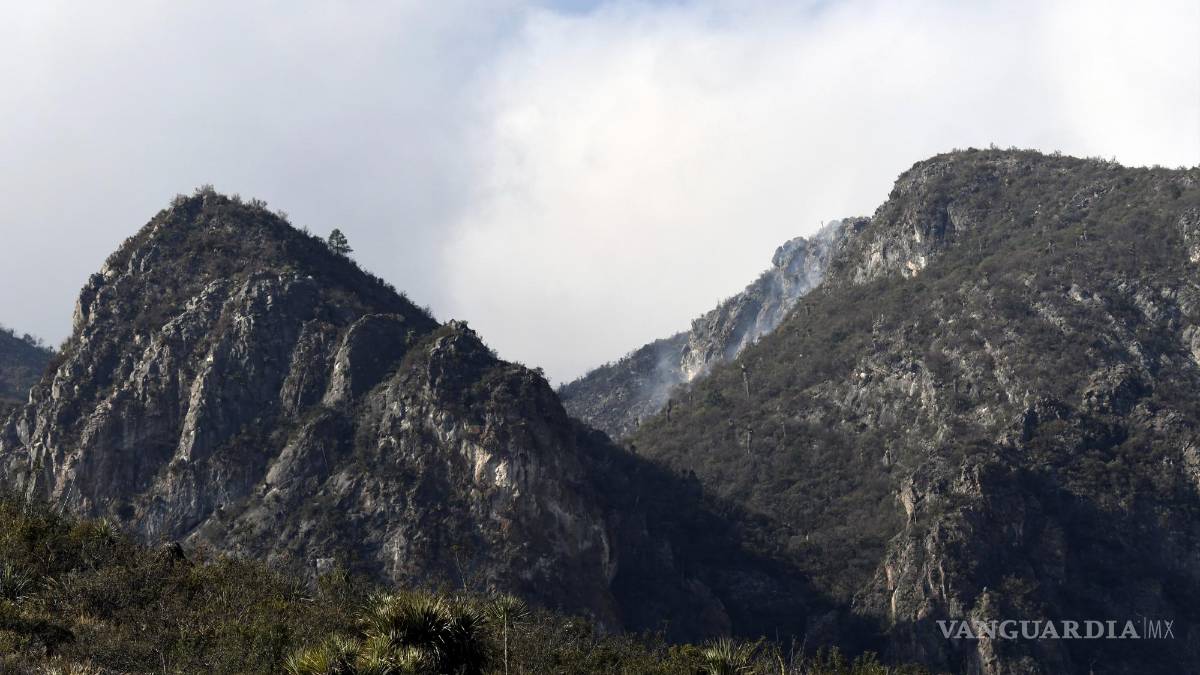 ‘Estoy cansado, pero me impulsa el amor por la naturaleza’; a diario brigadistas arriesgan su vida