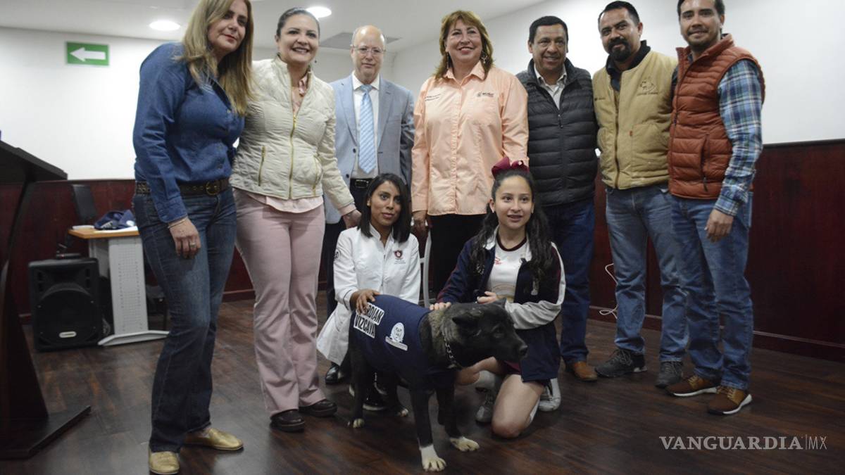 Campaña de esterilización de mascotas en la Vizcaya