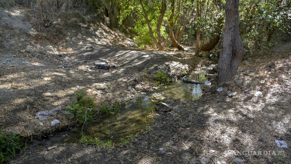 Alto grado de contaminación del Pozo Azul vuelve letal entorno para Carpita de Saltillo