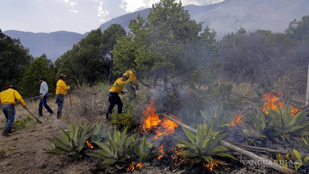 Clima ‘ideal’ en Coahuila para incendios forestales; hace mucho calor y poca humedad