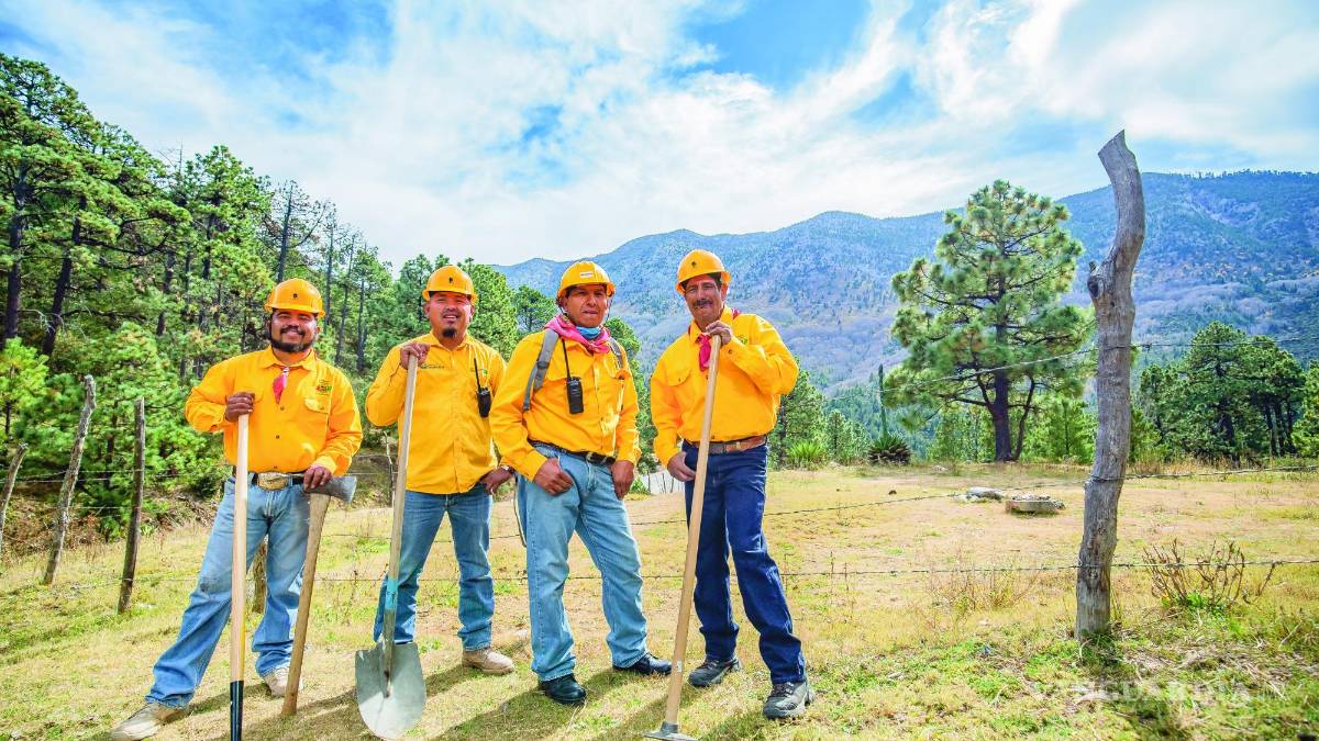 Brigadistas: Héroes de la sierra