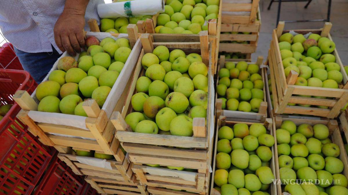 Negro panorama para productores de manzana de Arteaga