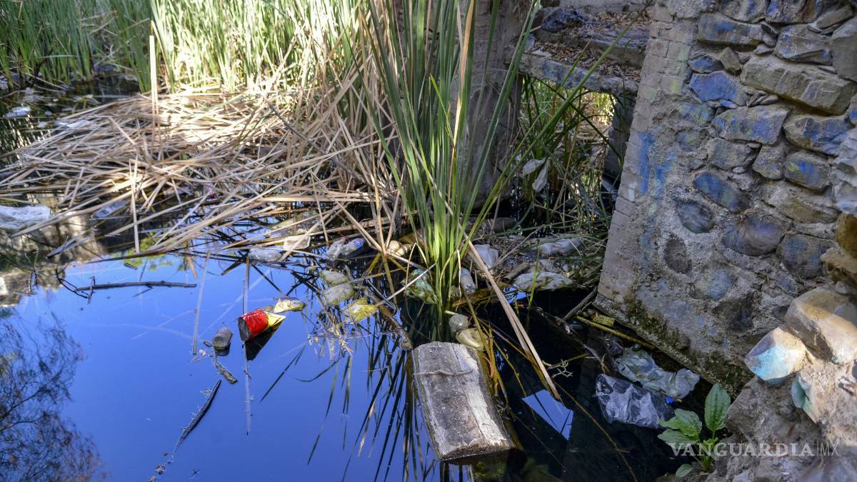 Alto grado de contaminación del Pozo Azul vuelve letal entorno para Carpita de Saltillo