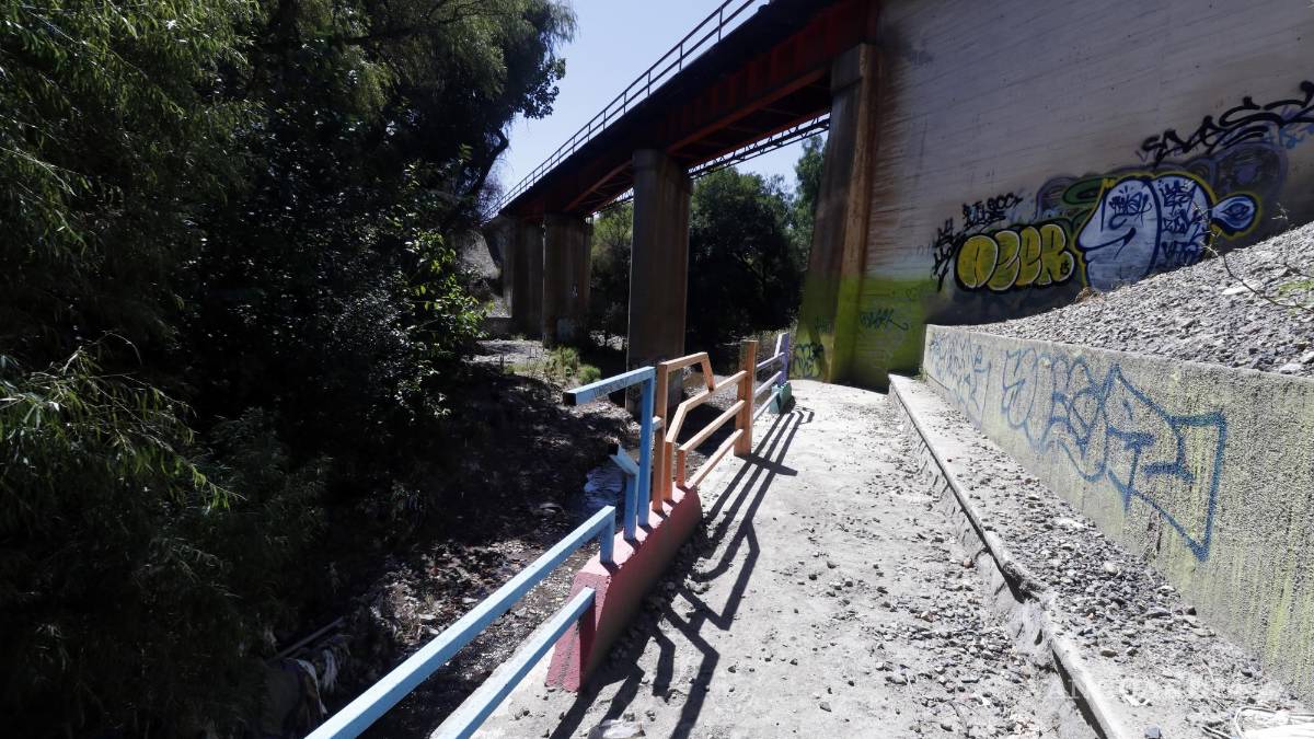 Parque ‘hundido’ de Saltillo, entre hierbas, basura y olvido