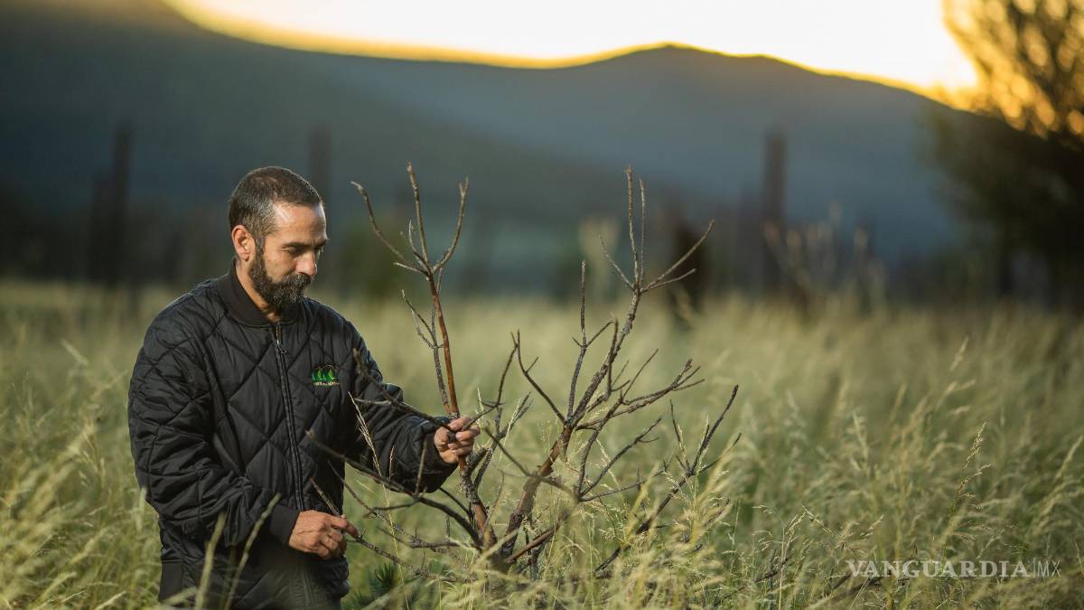 David Valladares: A proteger la sierra