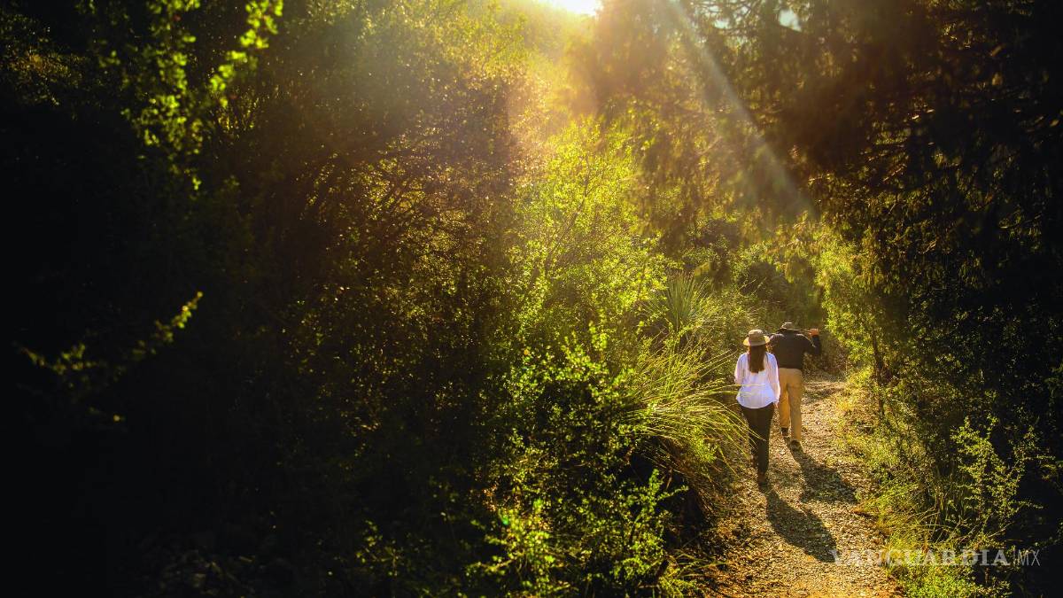 Conservación San Lorenzo: Respira el cañón
