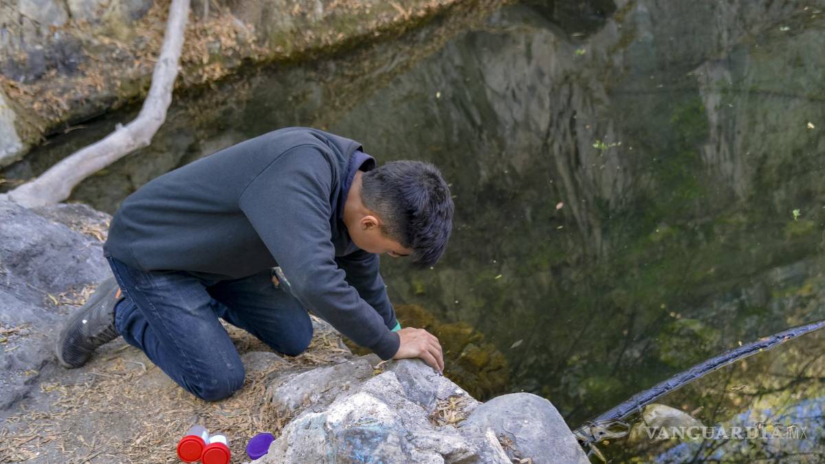 Alto grado de contaminación del Pozo Azul vuelve letal entorno para Carpita de Saltillo