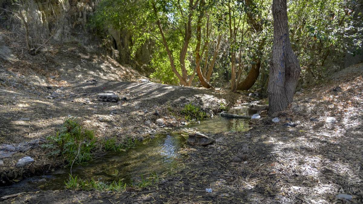 Alto grado de contaminación del Pozo Azul vuelve letal entorno para Carpita de Saltillo