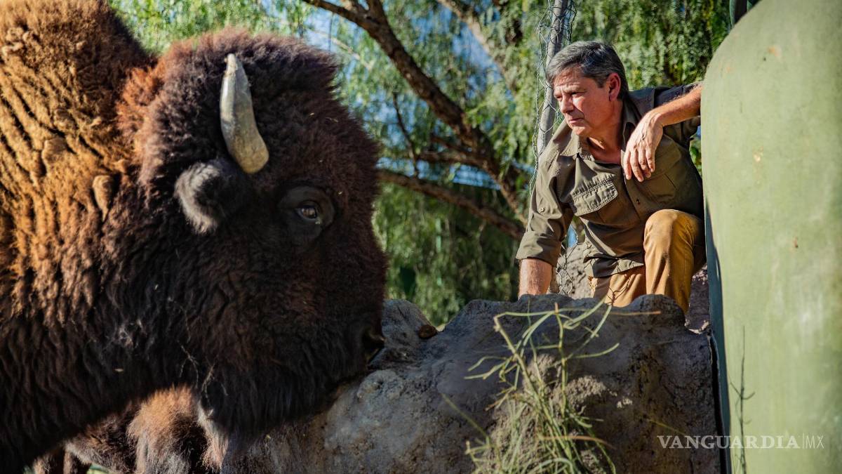 Arturo González: Un lobo encarnado en un humano