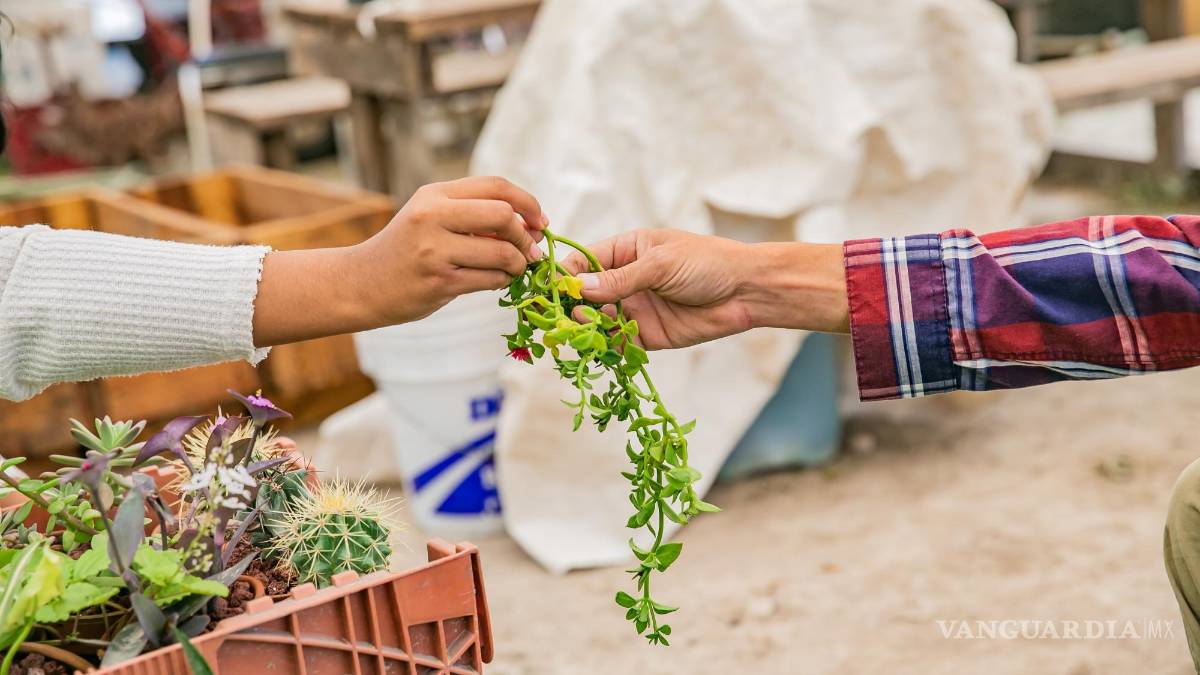 Javier Alanís y Sharon Castillo: Saltillo florece en Santa Anita