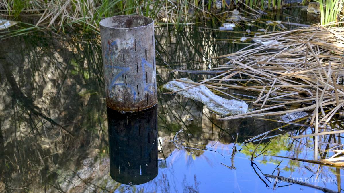Alto grado de contaminación del Pozo Azul vuelve letal entorno para Carpita de Saltillo