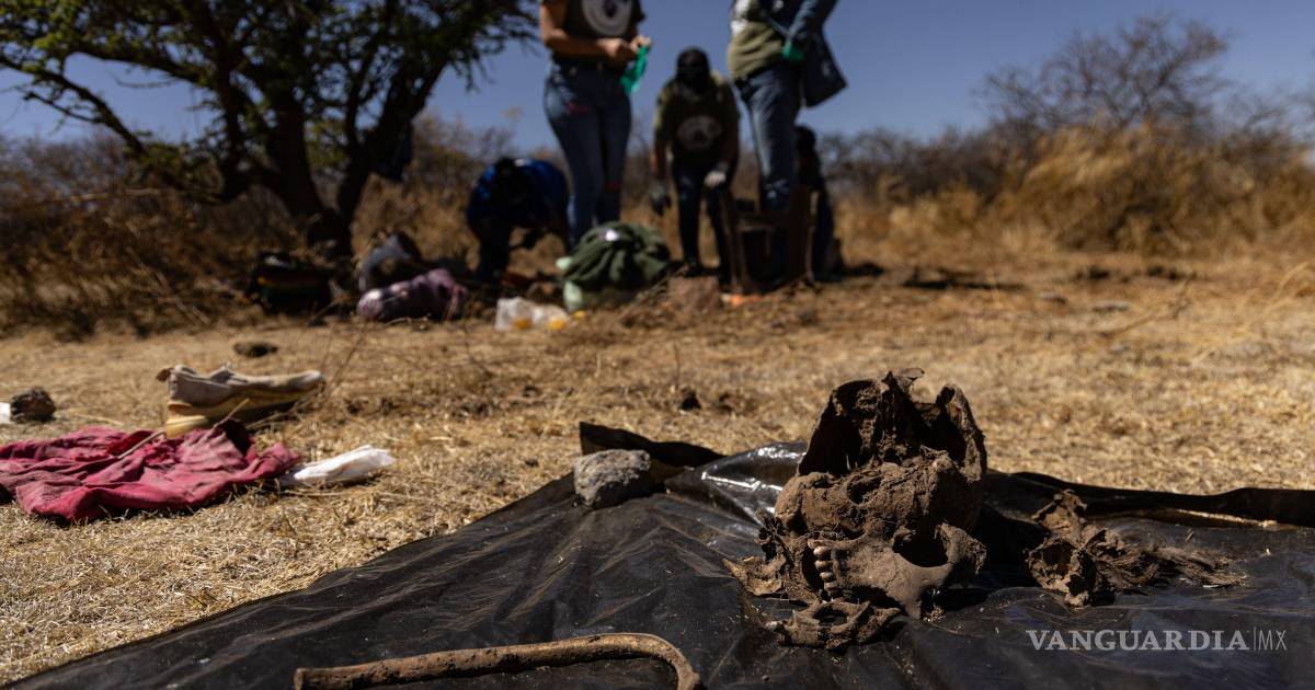 Colectivo de búsqueda localiza restos humanos en Concordia, Sinaloa