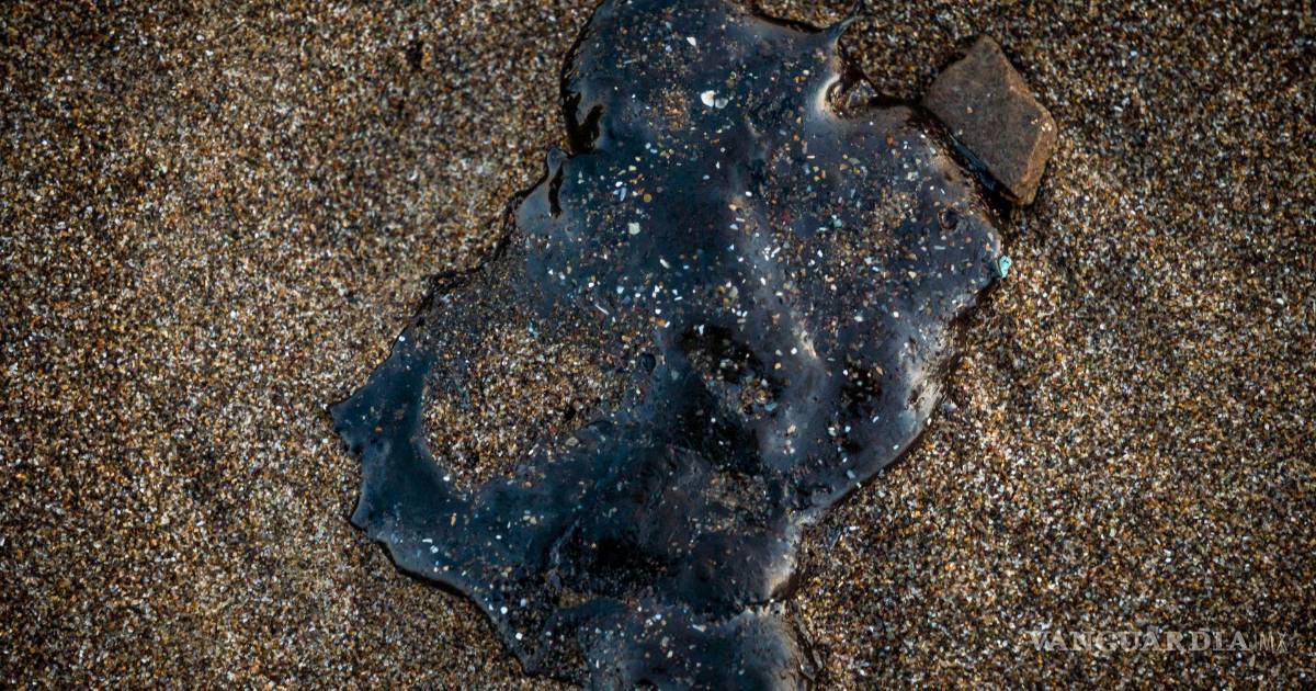 Recolectan casi 900 toneladas de hidrocarburo en playas por derrame en Golfo de México