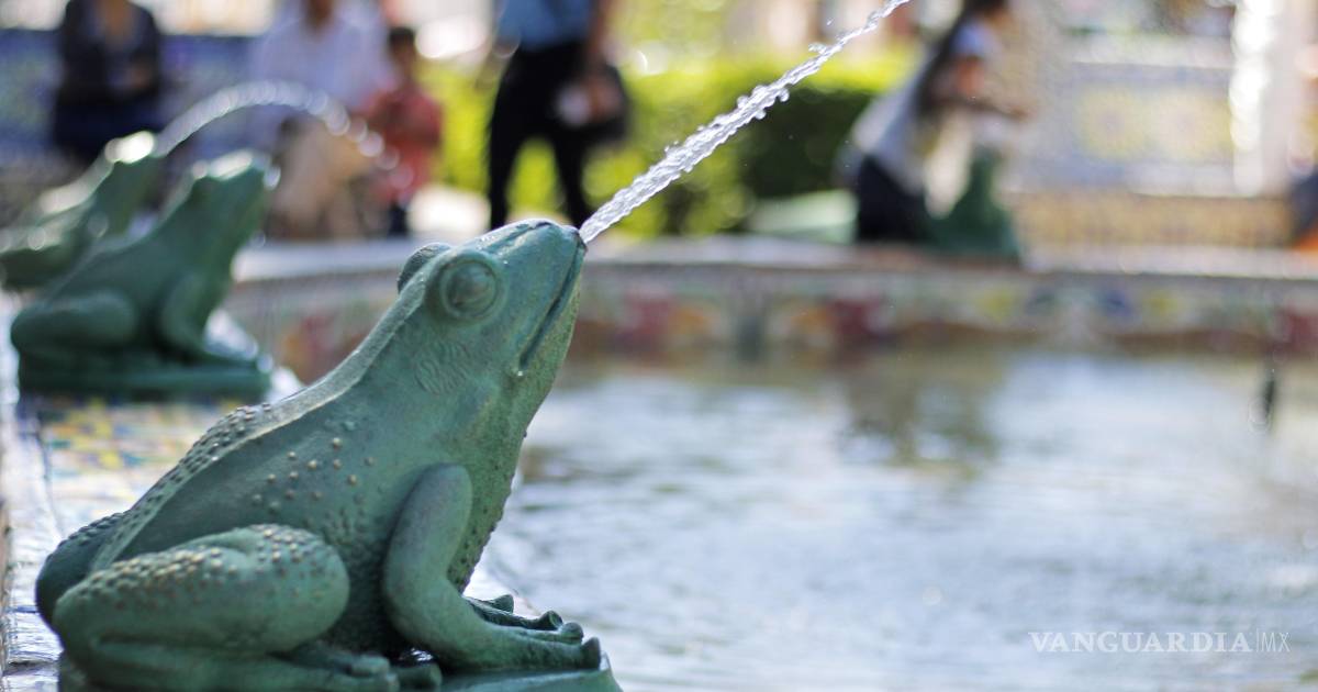 Fuente de las Ranas: Un trazo de don Miguel y don Artemio cobijado por los árboles de la Alameda Zaragoza
