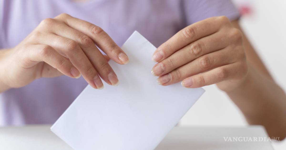 Democracia sin ciudadanas y ciudadanos