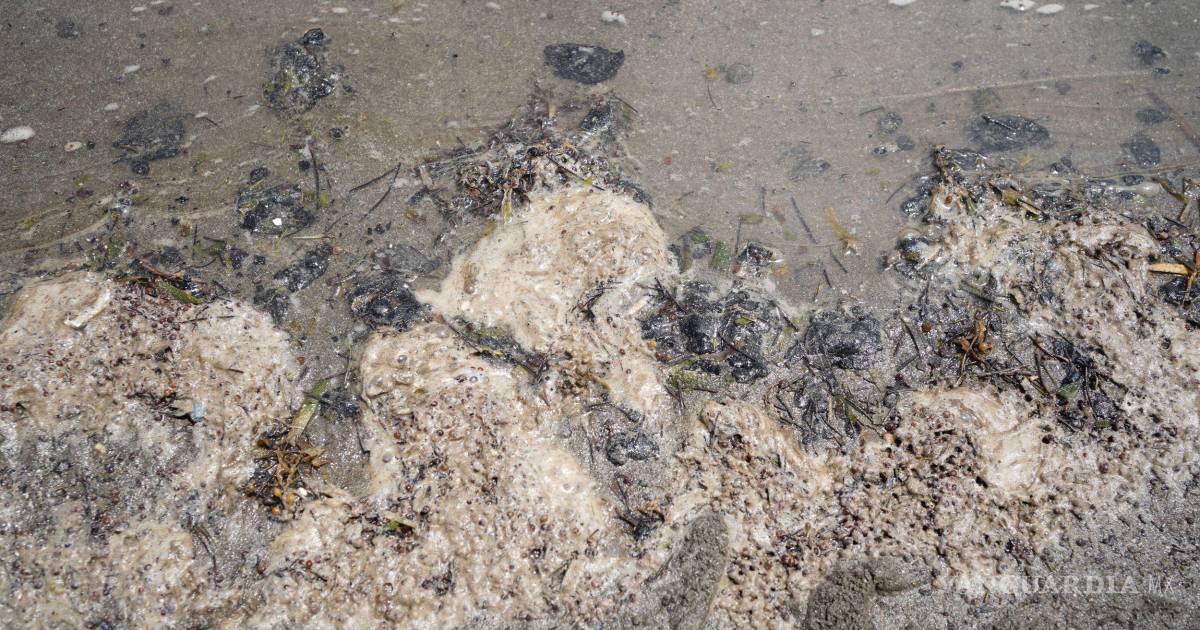 Del derrame nada se sabe