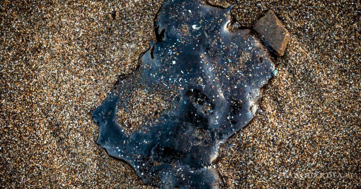 Pone la 4T de moda al chapopote