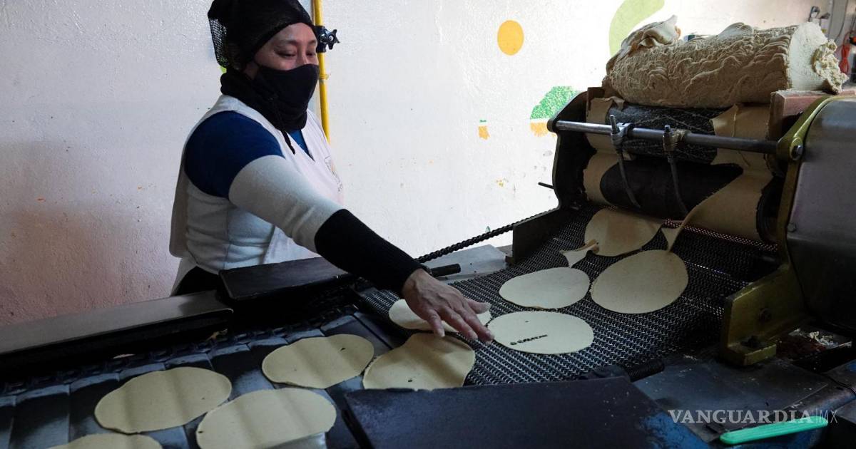 Tras rumores de aumento, gobierno e industria acuerdan medidas y afirman: ‘no sube la tortilla’