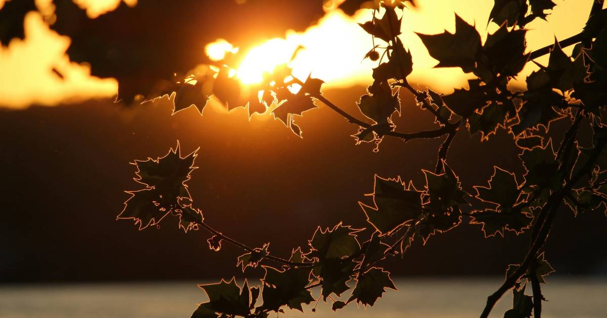 Hora mágica: La respuesta está en el viento