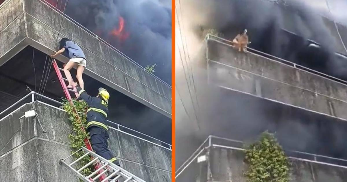 Mujer arriesga su vida para salvar a sus perros de un voraz incendio