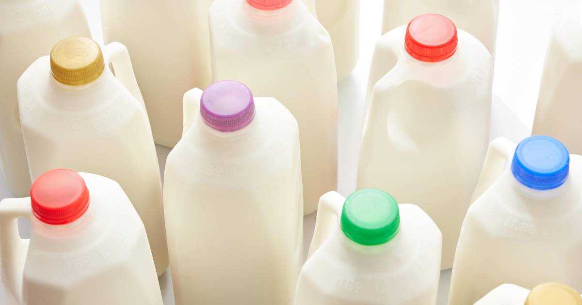 ¿Son más sanos los lácteos enteros?