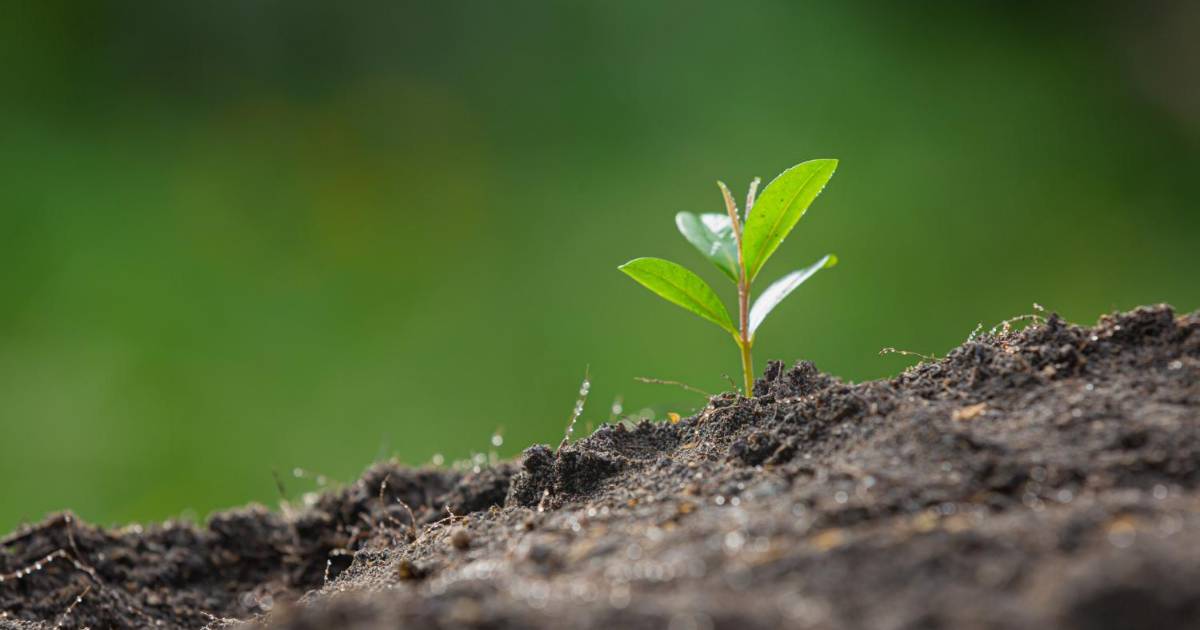 Chente Fernández: el panteonero del pueblo