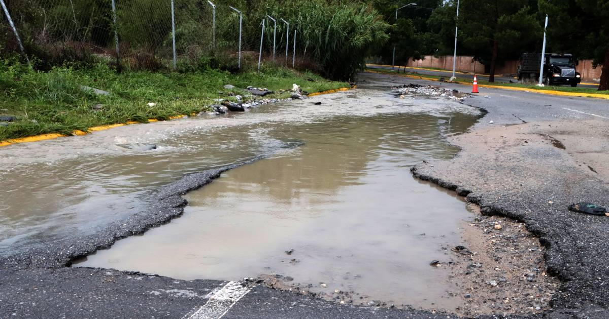 Infraestructura verde. Una solución de valor agregado