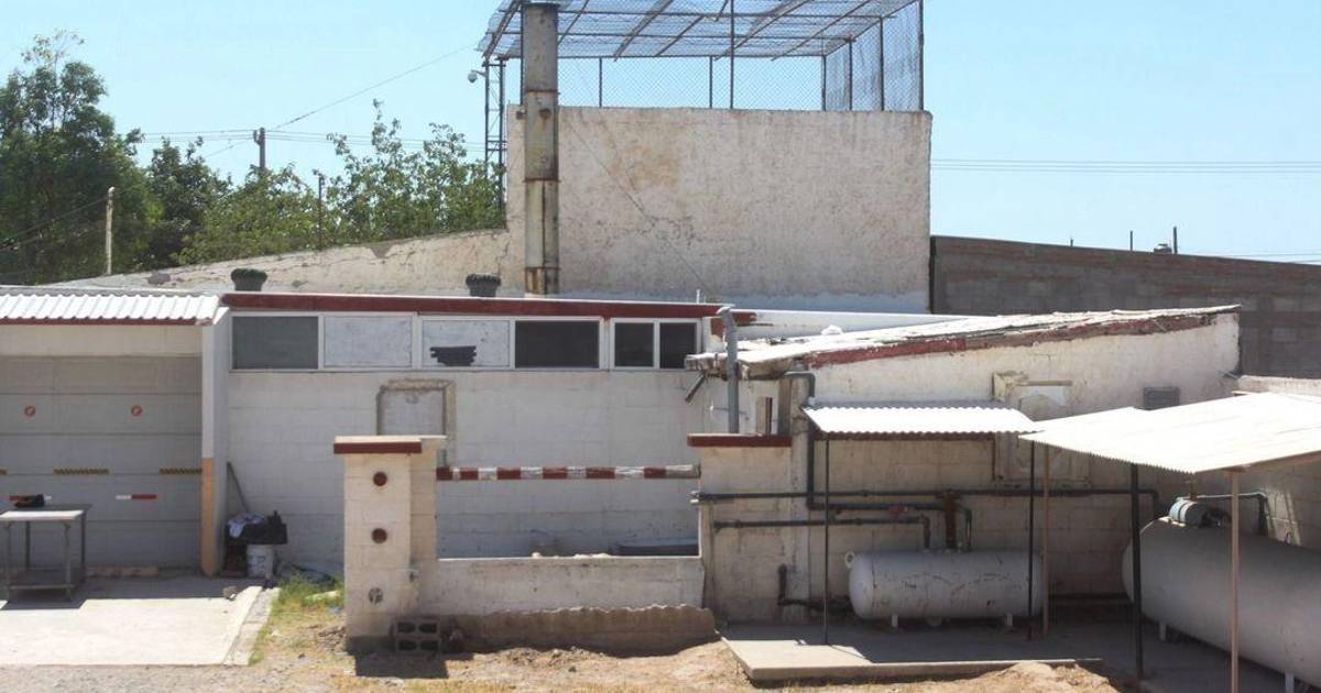 Identifican 86 de los 386 cuerpos del crematorio Plenitud en Ciudad Juárez