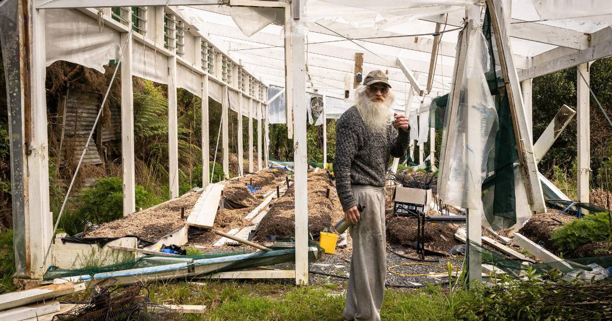 ‘Gandalf’, el agricultor de marihuana medicinal: ¿héroe o criminal?