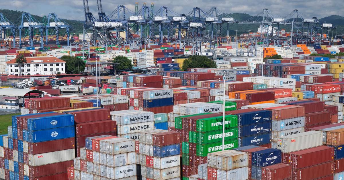 Resiliente ante los aranceles de Trump, la economía mundial crecerá 3.2% este año: OCDE