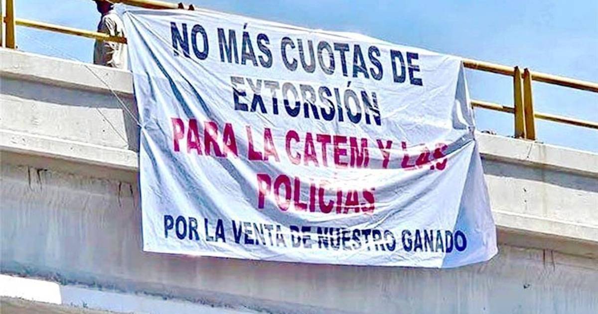 Se suma IP regia a frente común contra la CATEM