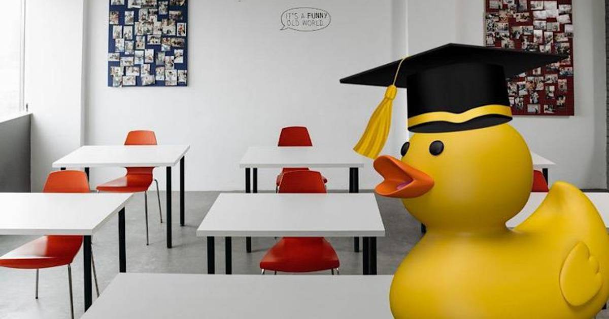 ‘Universidades patito’: ¿por qué se les permite abusar?