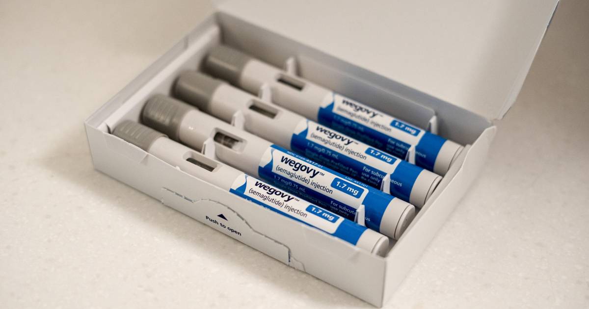 Algunas farmacéuticas desarrollan medicamentos para adelgazar para gatos y perros