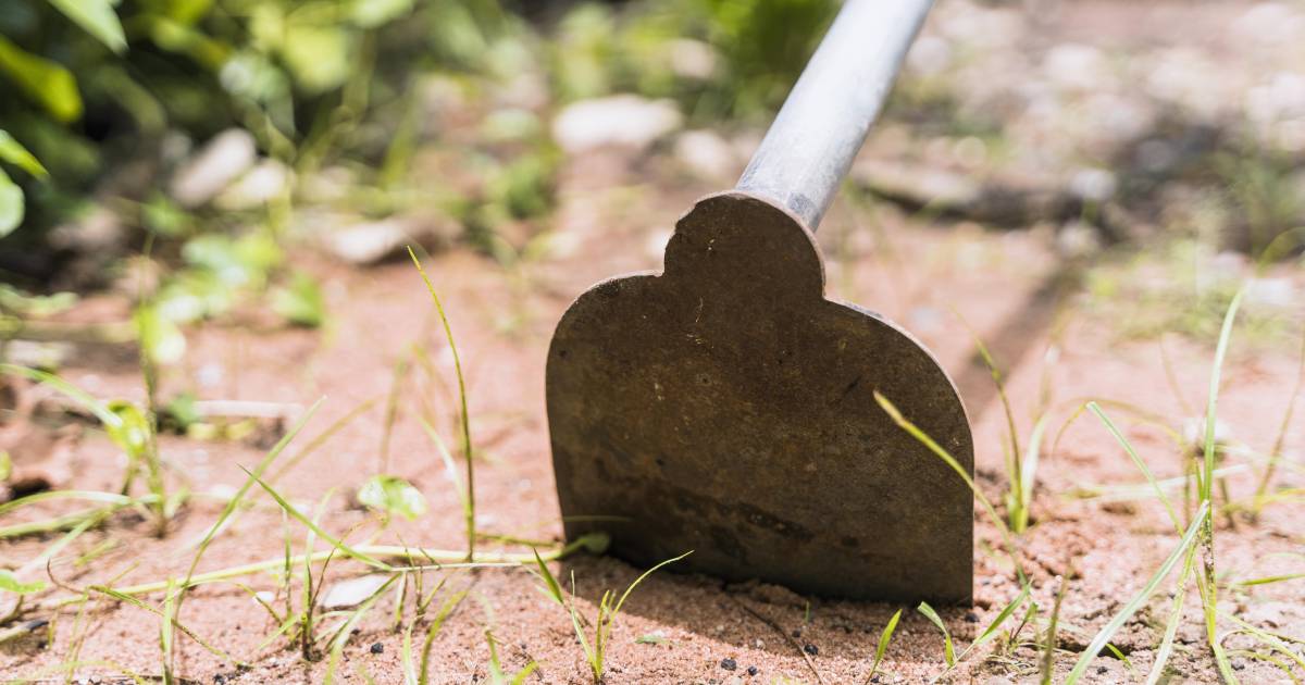 Una historia de don Juan