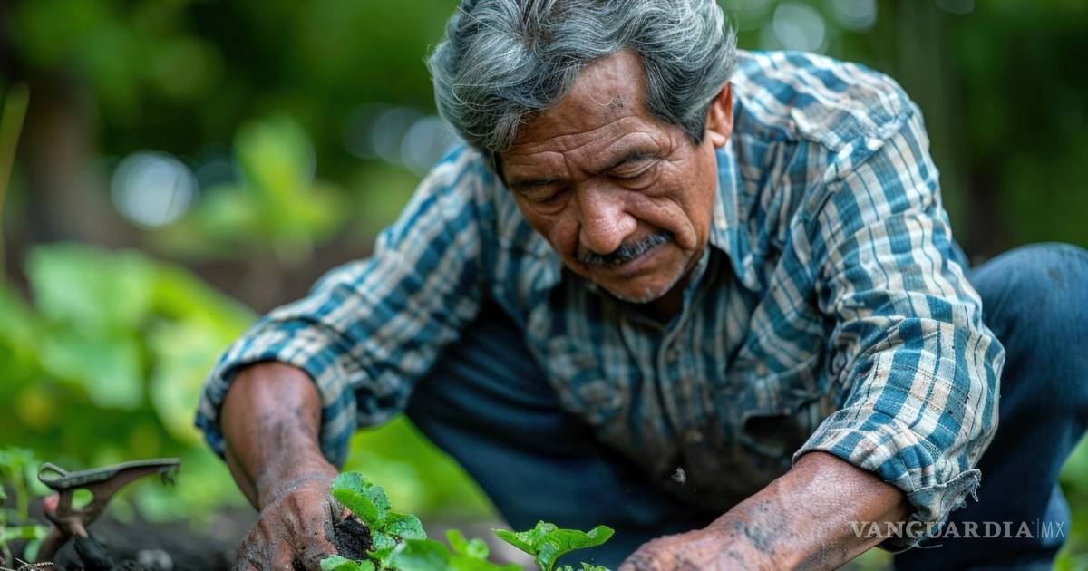 Sí a la vida: la defensa de los derechos agrarios