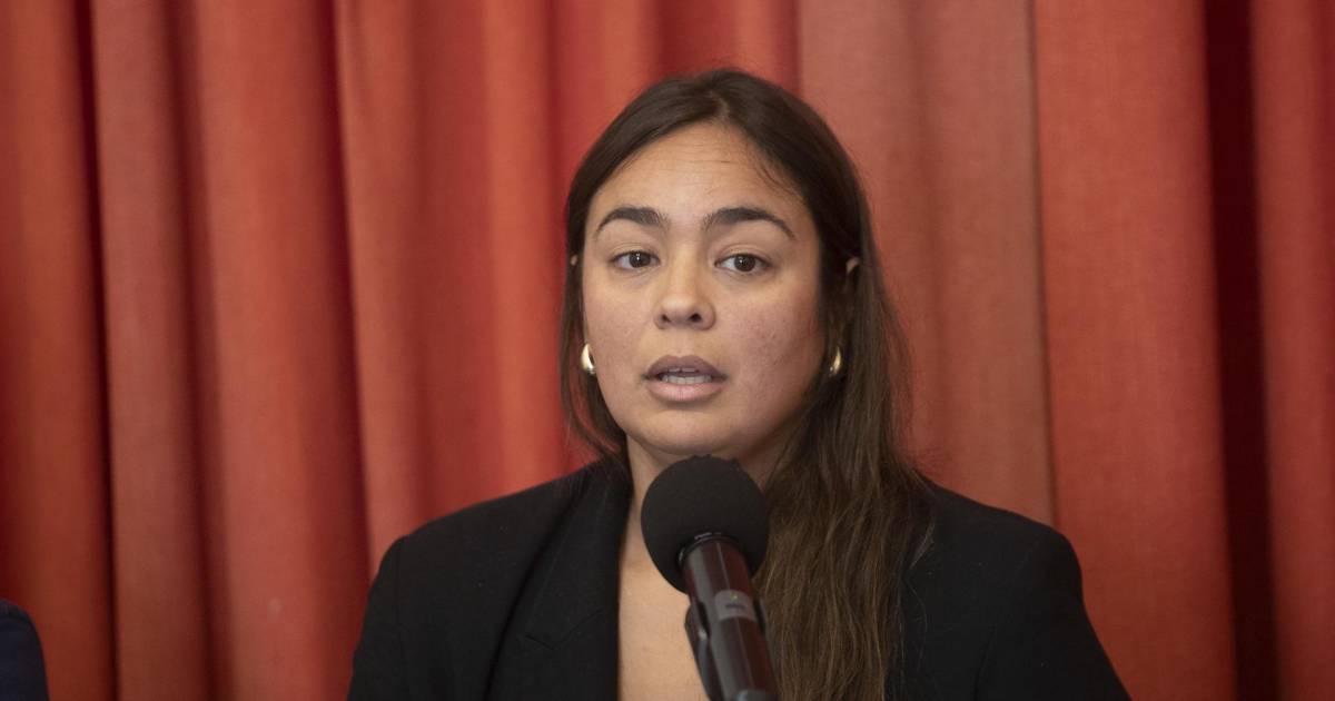 Organizaciones de derechos humanos y familiares denuncian incumplimiento del Estado mexicano en el crimen de Digna Ochoa