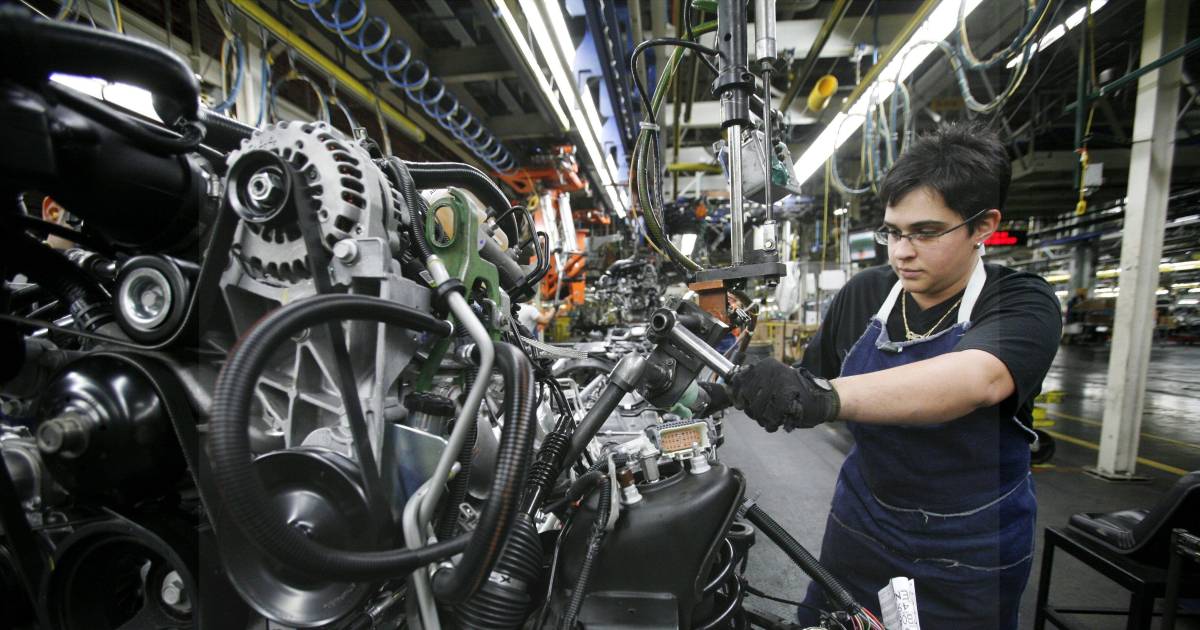 Saltillo: Red local de compras, una idea con buena visión