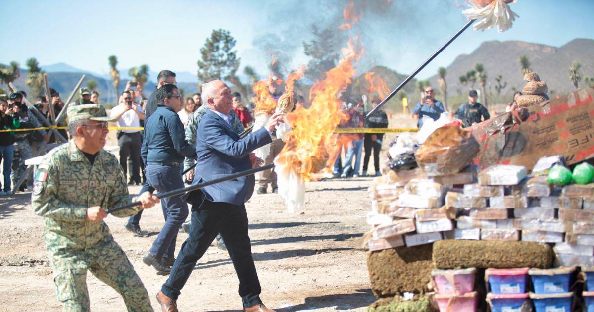 Destruyen en Coahuila más de una tonelada de drogas y objetos del delito