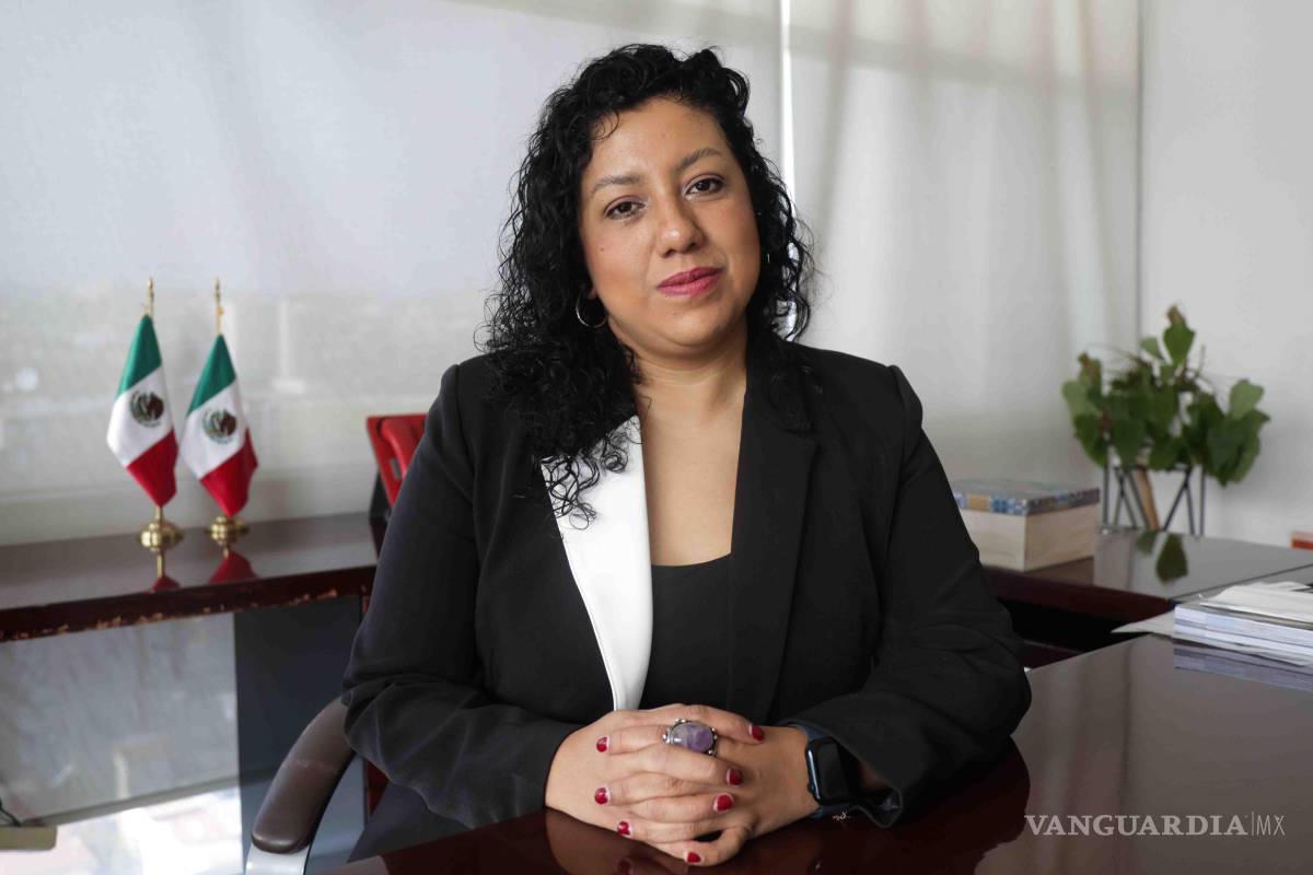 ‘A nadie interesa entender el Sistema Nacional Anticorrupción’: Vania Pérez