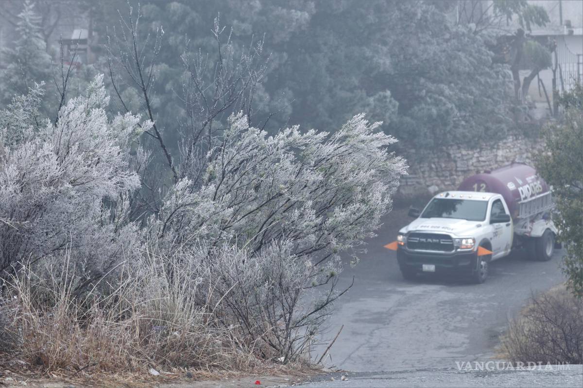 Arteaga mantiene alerta preventiva ante descenso de temperaturas