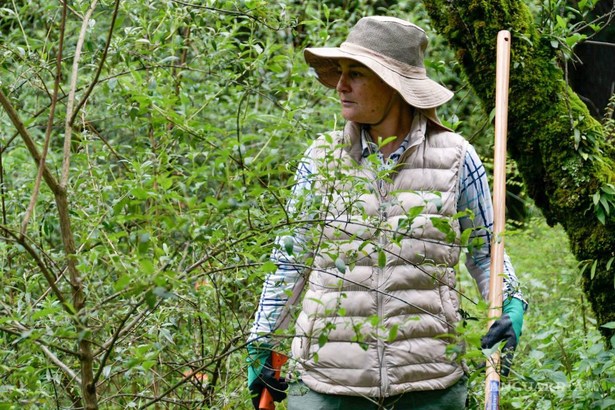 ¿Las madres buscadoras están protegidas? PRI propone seguridad