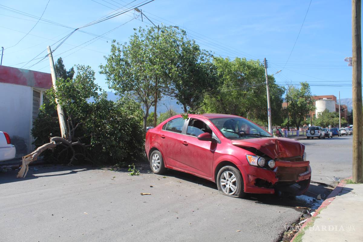 Derriba poste y árbol tras presunto cerrón al poniente de Saltillo; sufre crisis nerviosa