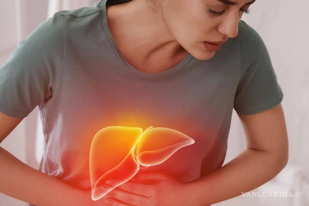 ¿Tienes hígado graso?... Cómo aliviar los dolorosos síntomas como la inflamación, cansancio o molestias en el abdomen