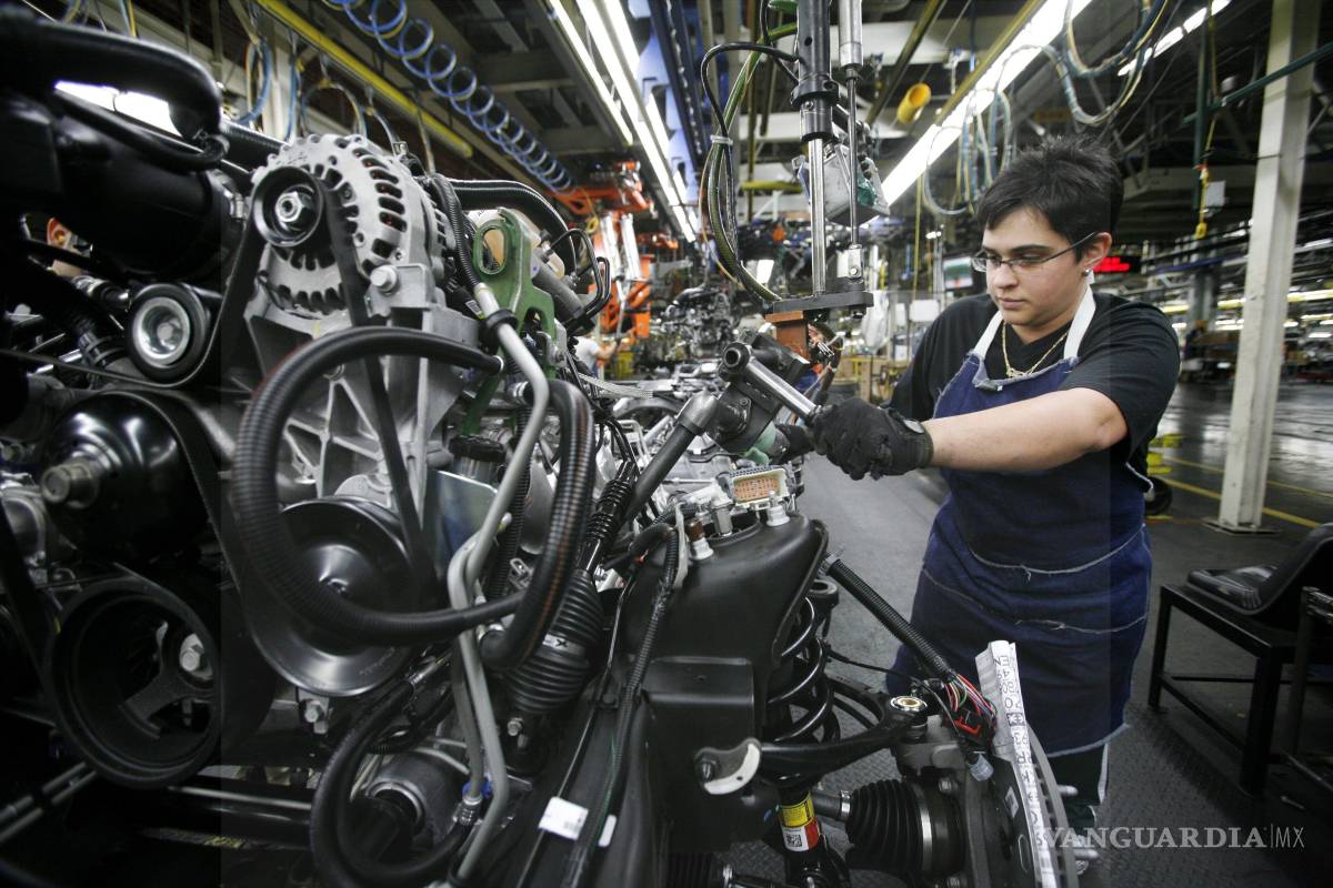 Saltillo: Red local de compras, una idea con buena visión