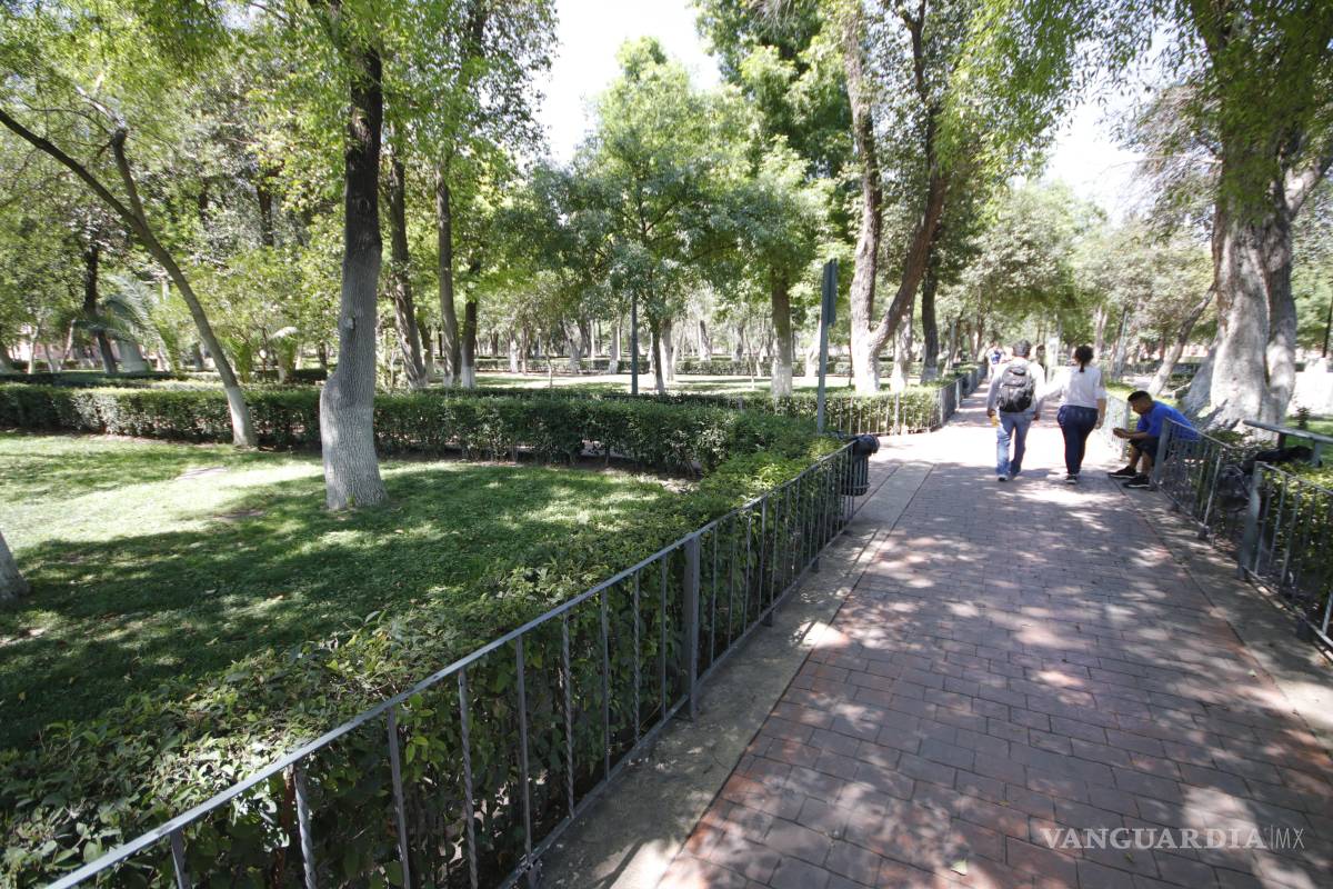 Saltillo: Proyecto de rehabilitación de Alameda sigue en fase de diagnóstico y estudio topográfico