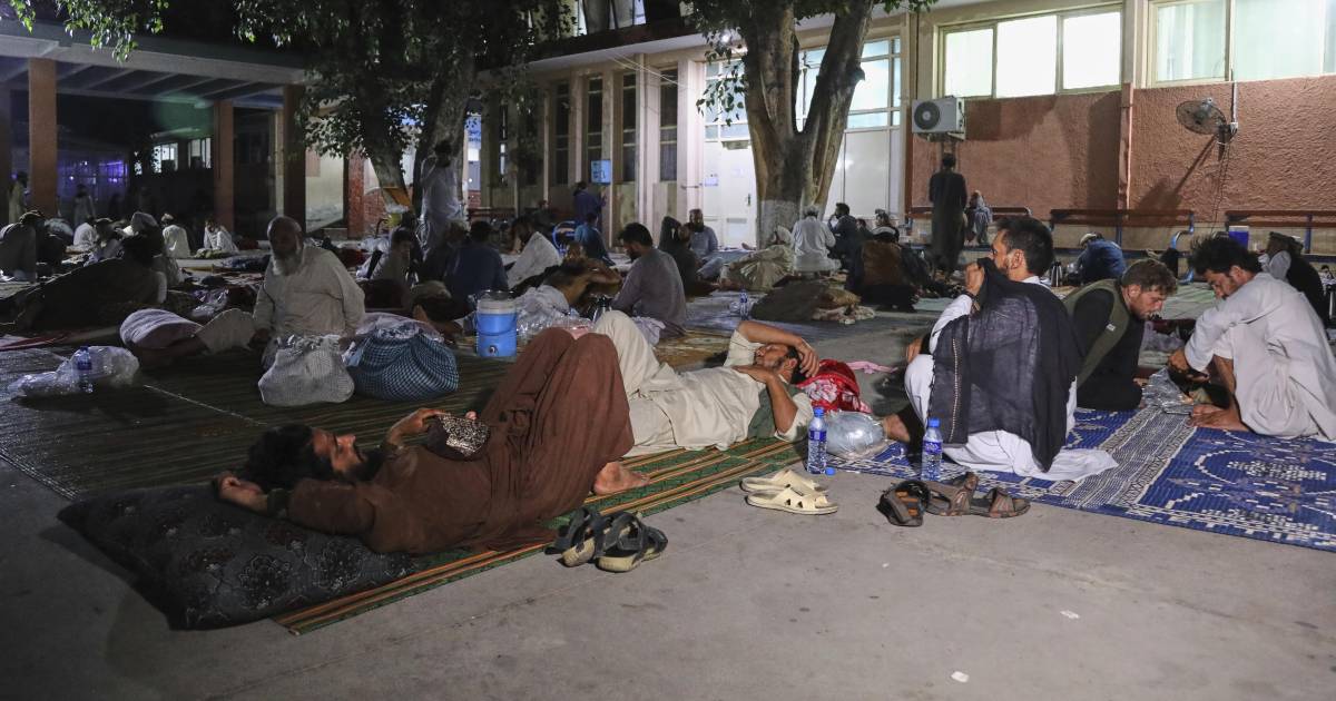 Muertos por sismo en Afganistán llega a más de 2 mil 200; déficit económico afecta las labores de emergencia