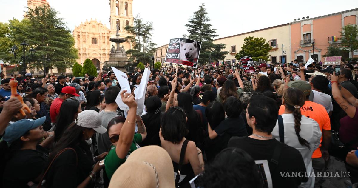 La protección animal: el compromiso del Estado y la sociedad para salvaguardar y respetar la dignidad de quienes no tienen voz