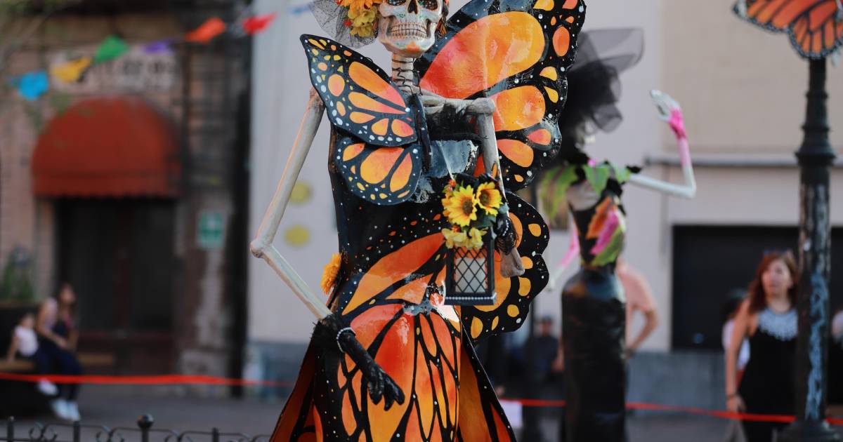 Saltillo: Efímero y mágico vuelo de mariposas monarcas