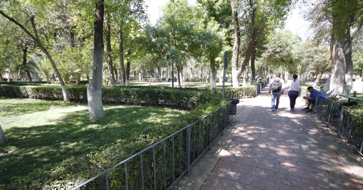 Alameda Saltillo: Reivindicando el valor de lo ‘pueblerino’